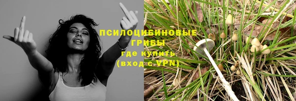 a pvp Белоозёрский